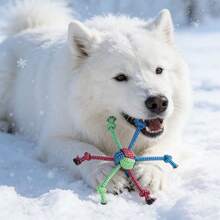 宠物咀嚼绳玩具，耐用防咬设计，非常适合拔河、训练和玩耍 - 型號2 - 查看 4