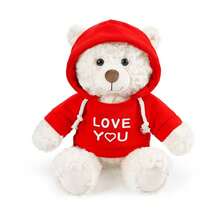 1个疗愈忏悔泰迪熊毛绒玩具，心形文字填充玩偶，泰迪熊拥抱爱心，泰迪熊拥抱玫瑰，情侣/闺蜜祝福礼物，女孩生日/母亲节/毕业礼物 - 彩色 - 查看 20