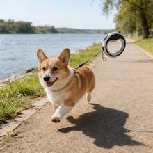 1 dây dắt chó tự thu gọn, dây dắt chó hai đầu, dây kéo chống nổ 2 trong 1 - Nhiều màu - Xem 3