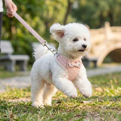 Bộ dây đeo và dây dắt thú cưng PETCHIC chấm bi hồng dễ thương, thích hợp cho cắm trại ngoài trời mùa xuân, dắt chó/mèo đi dạo, dây đeo có thể điều chỉnh, mềm mại và thoải mái. Phụ kiện hoạt động ngoài trời cho thú cưng.