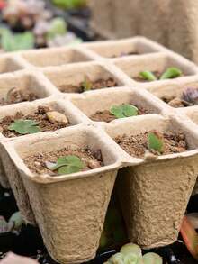 12格纸浆育苗盘，育苗盆，种植盆，营养盆，移栽盆，营养杯，育苗杯 - 多色 - 查看 9