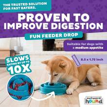 Fun Feeder Slo Bowl – Medium 2‑Cup Capacity, Slow Feeding, Small To Medium Dogs & Cats, Non-Slip, Turquoise, Drop Pattern UXP2 - màu ngọc lam - Xem 4
