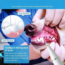 Dog Plaque And Tartar Remover, Ultrasonic Teeth Cleaner For Dogs And Cats - View 10