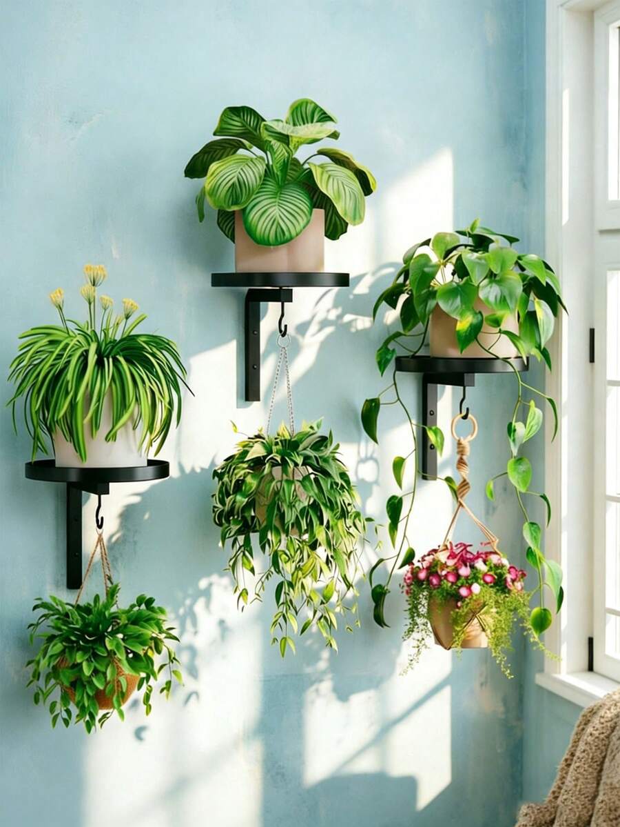 2/3pcs Minimalist Black Metal Wall-Mounted Plant Holder With Hooks, Hanging Succulent Flower Rack Suitable For Succulents, Vines And Small Plants, Modern Home Garden Decor - Multicolor - View 1