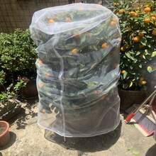 10M Garden Net Netting Vegetables Crops Mosquito Net Plant Cover Insect Bird Net Vegetable Fruit Protection Net, Mesh Insect Screen Barrier To Protect Garden Plants From Bird And Insect Damage - 10*2.5M - View 6