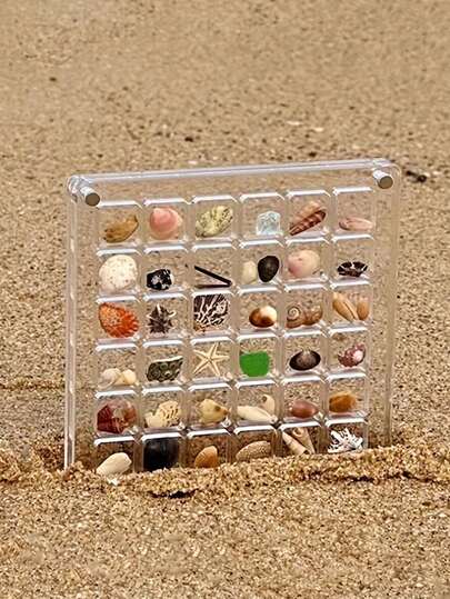 1pc Square Acrylic Shell Storage Box, Transparent Specimen Display With 36 Mini Shell Compartments, Magnetic Lid, High Transparency, Suitable For Daily Collection,Mini Acrylic Shell Storage Display Box, Divided Shell Box, Jewelry Storage Box, Shell Storage Box, Transparent Display Of Seaside Stones