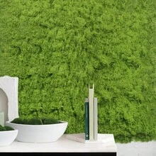 100cm*50cm Artificial Moss Carpet, Bionic Lawn, Simulated Moss Micro Landscape Arrangement, Suitable For Lawns, Potted Plants, Potted Plants, Sidewalks, Etc., Valentine's Day Gift - Green - View 5