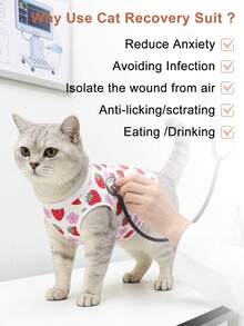 1件猫咪术后恢复服，适用于腹部伤口或皮肤状况，可替代伊丽莎白圈，透气舒适，防止猫咪舔舐伤口。 - 彩色 - 查看 7
