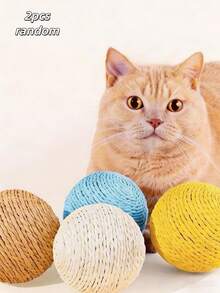 1个猫玩具猫球，超级好玩，可缓解猫咪无聊，供猫咪咀嚼、玩耍和抓挠。 - 彩色 - 查看 17