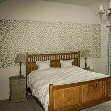 Khuôn tô họa tiết da báo có thể tái sử dụng, thích hợp cho nghệ thuật trang trí tường DIY, làm sổ lưu niệm và dập nổi - Chất liệu nhựa PET bền, dễ sử dụng, kích thước 11,7 inch x 8,3 inch. - A - Xem 6