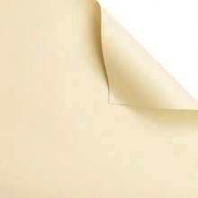 20 piezas/paquete Papel coreano sólido mate translúcido y grueso, impermeable, para envolver ramos de flores, material de empaque para floristerías, 57x57cm - papel coreano - Ver 41