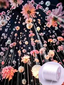 1 rulle klar nylonpärltråd 0,2 mm-0,8 mm, icke-elastisk kristalltråd för gör-det-själv-armband och halsbandssmyckenstillverkning - Transparent vit - Visa 6