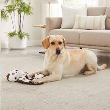 Outward Hound By Charming Pet Cuddle Tugs Cow Pl 11ush Squeaky Dog Toy - 拖牛1計數 - 查看 3