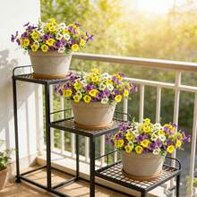 8 pièces Orchidée Phalaenopsis et Pensée artificielles, décoration florale réaliste résistante aux UV pour jardin intérieur/extérieur, porche, rebord de fenêtre, maison, mariage et style rustique ; fleurs artificielles résistantes à la décoloration pour la décoration, les suspensions, les vases, les anniversaires, les mariages, les fiançailles, la Saint-Patrick, Thanksgiving et plus encore - Multicolore - Voir 10