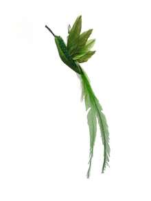 Hummingbird Telescopic Cat Wand, Max 180cm/70.8in, Artificial Feather, Bite Resistant Interactive Toy, Relieve Boredom For Kittens, Cats & Dogs, Indoor Daily Use, Cat Essentials, Hot Halloween Christmas Pet Accessory - Multicolor - View 4