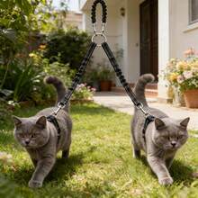 2 In 1 Running Dog Leash Set - Hands Free Waist Belt For 2 Dogs With Shock Absorber - Multicolor - View 5