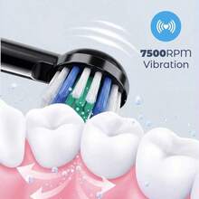 3 Cleaning Modes Electric Toothbrush, Rechargeable Soft Bristle Dental Cleaner - Multicolor - View 12