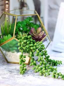 8/11/15件装仿真多肉植物盆栽，桌面摆件，窗台绿植装饰，多种无盆仿真植物，质感逼真，可采摘，逼真塑料仙人掌茎，多肉植物花园家居装饰，礼品，春季礼品，复活节，复活节装饰品 - 彩色 - 查看 4