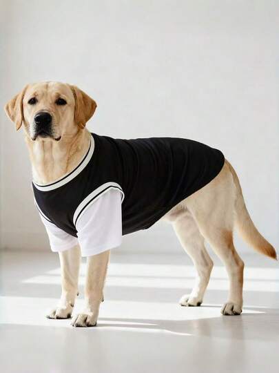 透气网眼新款狗狗衣服，春夏二合一衬衫，宠物圆领撞色上衣，适合中大型犬，例如金毛寻回犬、拉布拉多犬、哈士奇犬、德国牧羊犬等。