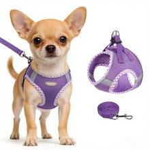 2件套宠物狗旅行胸背带套装，狗狗胸带和牵引绳套装，户外散步胸背带，易于调节的胸带 - 彩色 - 查看 12