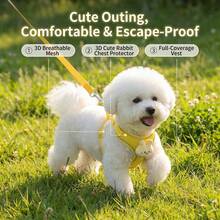Dây dắt chó kiểu áo vest dành cho chó nhỏ, chó Teddy, Pomeranian, chó con, bộ dây đeo và dây dắt cho chó cưng. - Nhiều màu - Xem 5