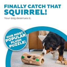 QILP Hide-A-Squirrel Dog Toy Interactive 2-In-1 Pl Puzzle With 6 Squeaky Re Squirrels X-Large - Sóc - Xem 2