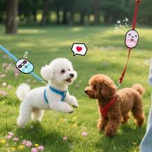1pc Dog Leash Warning Patches - Interactive Hook & Loop Dog/Cat Alert Tags For "No Touch", "No Feed" Messages - Multicolor - View 3