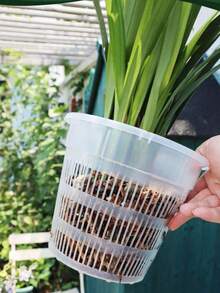 1pc/3pcs Butterfly Orchid Potting Tray, Dendrobium Orchid Pot, Classic Lightweight And Durable Design, Easy Drainage To Prevent Root Rot - A - View 11