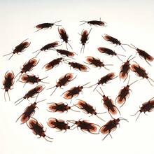 10pcs/20pcs/30pcs Realistic Fake Cockroach - Black And Orange Plastic Insect Prop, Non-Electric Party Decoration - View 7