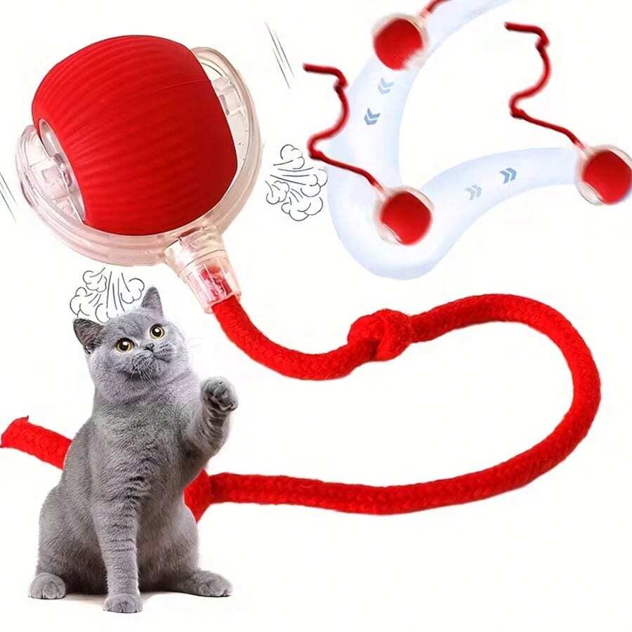 1个不可预测的互动重力球自动电子猫玩具，适合玩耍和娱乐，颜色随机