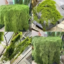 Musgo artificial realista - Verdor natural para centros de mesa de boda, terrarios, jardines de hadas y manualidades DIY - Sin mantenimiento, ligero y duradero - musgo - Ver 9