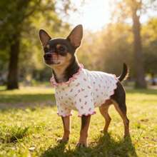 1 buah Pakaian Anjing/Kucing Peliharaan, Motif Bunga Seluruh Permukaan dengan Hiasan Pita Merah Muda, Pakaian Kasual yang Bernapas & Nyaman untuk Teddy, Poodle, Chihuahua, Cocok untuk Musim Semi/Musim Gugur - Hot Pink - View 10