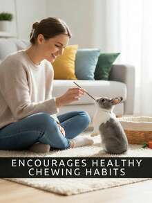 苹果木和柳木磨牙棒，仓鼠豚鼠兔子咀嚼玩具，木制啃咬玩具 - 查看 3