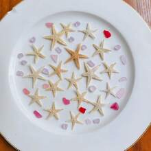50pcs Mini Natural Starfish Micro Landscape Beach Wedding Nautical Decor Resin Handmade DIY Vase Filler Small Star Shaped Seashells Beach Decor, Suitable For DIY Jewelry Making, Fish Tank/Bathroom Home Decor, Party Candle Wedding Decor, Handcraft Best Birthday Graduation Gift, Size 0.4"-1" - Multicolor - View 2