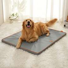All Season Thick Pet Mat, Wear-Resistant Anti-Slip Mat For Cats And Dogs - Multicolor - View 4