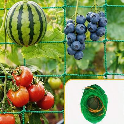 Red de malla de 4x4 pulgadas, adecuada para plantas trepadoras, sandía, arándanos y talla grande. Se puede usar para enredaderas, frutas, verduras y frijoles en el jardín, escenarios de cultivo de verduras y frutas.