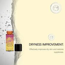 50毫升玫瑰精油滚珠瓶，持久留香，便携式香薰精油 - 多樣化香型 - 查看 6