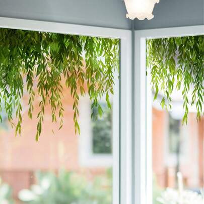 قطعة واحدة، ملصق زجاج ديكور نافذة بنمط أوراق خضراء طازجة، ملصق حائط من البي في سي حديث، مناسب للمنزل والغرفة المعيشية والنوم والمطبخ والمكتب والمدخل، ذو شكل غير منتظم، بموضوع نباتي، بنهاية شبه لامعة، مناسب للأسطح الزجاجية
