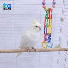 半件装悬挂式鸟类玩具，包含彩色珠子和星星配件，可缓解鸟类咀嚼无聊，经久耐用的互动设计满足小型鹦鹉的咀嚼本能，适合爱情鸟和幼鹦鹉。 - 查看 5