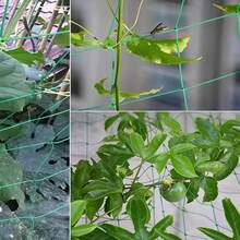 Giàn leo cây chất lượng cao, lưới mắt cáo linh hoạt, lưới tạo hình cho khu vườn. - một - Xem 2