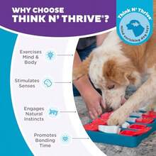 QILP By  Dog Brick Interactive Treat Puzzle Enricent Toy Level 2 Intermediate Plastic Blue Advanced Cognitive Stimn For D - Dog Brick Red White Blue - View 6
