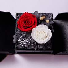 Preserved Flowers - Style 1 - View 2