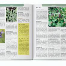 La guía olvidada de los remedios vegetales - A - Ver 2