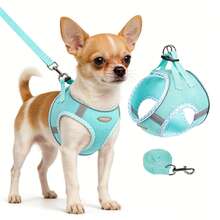 2件套宠物狗旅行胸背带套装，狗狗胸带和牵引绳套装，户外散步胸背带，易于调节的胸带 - 彩色 - 查看 10