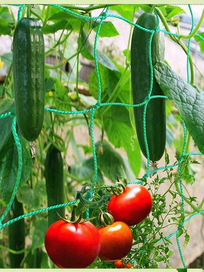 1 Bộ lưới giàn leo sân vườn gồm 50 kẹp đỡ cây và 20 dây buộc, lưới leo màu xanh lá cây, dụng cụ trồng cây leo, dưa chuột, rau, quả, hoa.