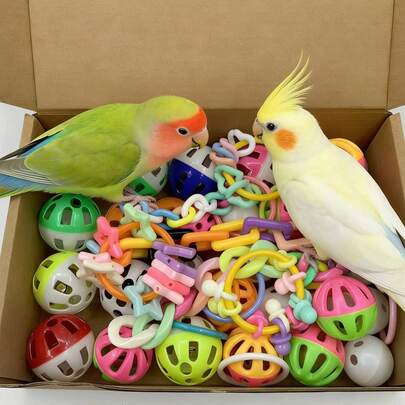 1 Box Parrot Toys - Includes Bell Balls, Grinding Teeth, Puzzle Toys, Anti-Depression Set For Medium & Small Parrots Like Cockatiel, Lovebird, Parakeet. Contains 30 Bell Balls, 10 Plastic Rings, And 60 Assorted Playthings