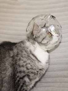 宠物项圈防咬头盔，洗澡修剪指甲防抓防舔宠物猫头套，猫咪太空头盔，防止咬人，猫咪洗澡、修剪指甲、防抓、防舔头套，宠物用品 - 查看 5