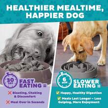 Fun Feeder Slo Bowl – Large 4‑Cup Capacity, Slow Feeding, Medium To Large Dogs, Anti-Skid, Blue, Groove Pattern - Gray - View 5