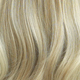 Blonde Highlight