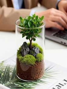 3/4/6/24件套玻璃花瓶 透明圓柱形鬱金香花瓶 颶風式浮蠟燭台 波西米亞風 高玻璃圓筒花瓶，可用於放置蠟燭、鮮花、鵝卵石、貝殼、珠飾和燈飾，適合桌面裝飾、婚禮餐桌、居家裝飾、房間布置、餐廳裝飾、婚禮家居裝飾、拉瑪裝飾禮品、生日畢業典禮，玻璃花瓶套組 - 白色 - 查看 12